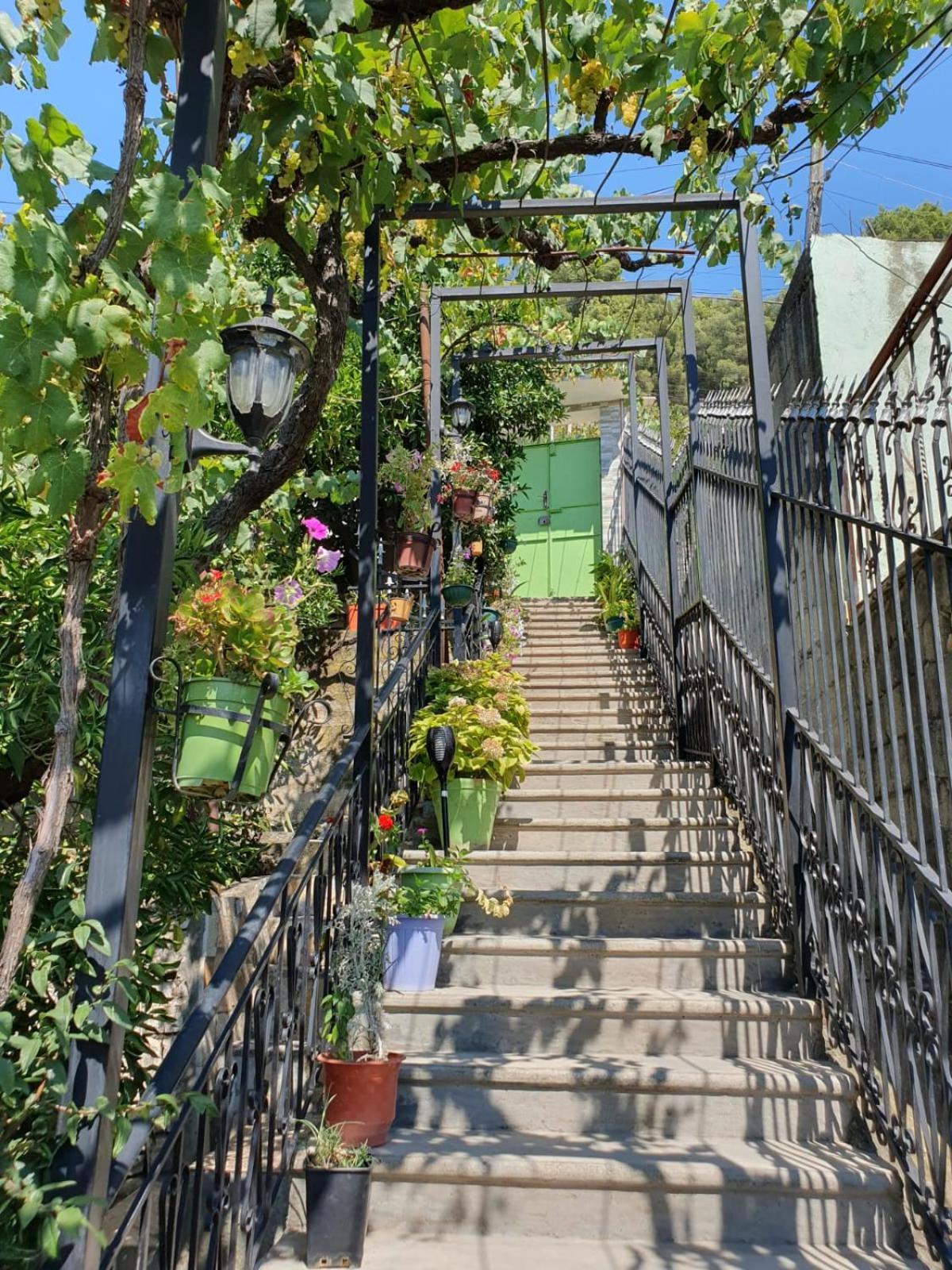 Sara Guesthouse Berat Zewnętrze zdjęcie