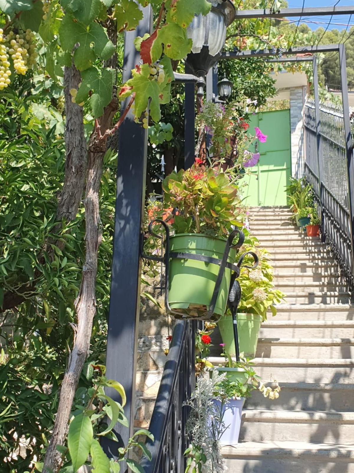 Sara Guesthouse Berat Zewnętrze zdjęcie