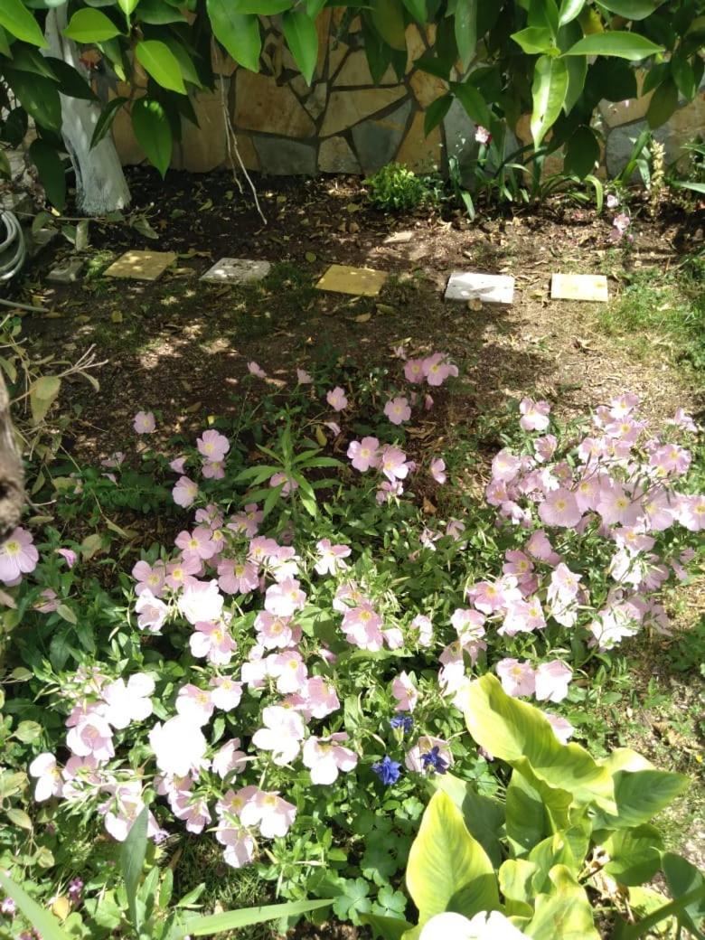 Sara Guesthouse Berat Zewnętrze zdjęcie