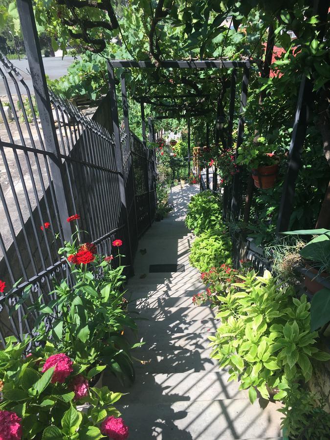 Sara Guesthouse Berat Zewnętrze zdjęcie